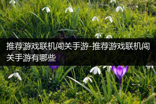 推荐游戏联机闯关手游-推荐游戏联机闯关手游有哪些