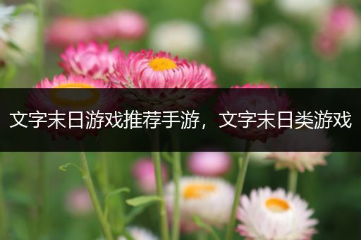文字末日游戏推荐手游，文字末日类游戏