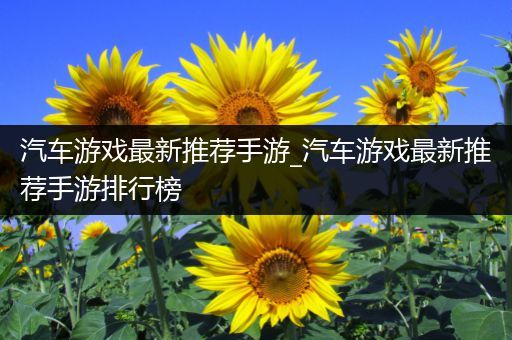 汽车游戏最新推荐手游_汽车游戏最新推荐手游排行榜