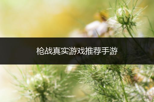 枪战真实游戏推荐手游
