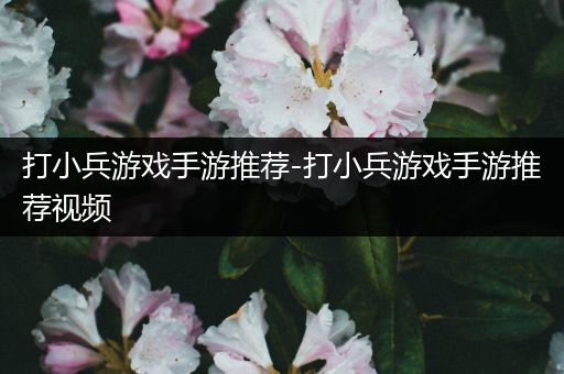 打小兵游戏手游推荐-打小兵游戏手游推荐视频