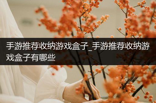 手游推荐收纳游戏盒子_手游推荐收纳游戏盒子有哪些