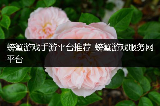 螃蟹游戏手游平台推荐_螃蟹游戏服务网平台