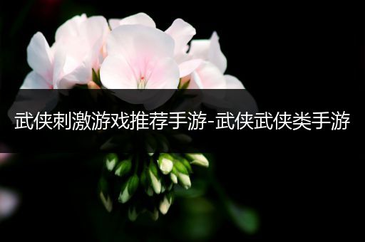武侠刺激游戏推荐手游-武侠武侠类手游