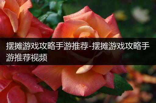 摆摊游戏攻略手游推荐-摆摊游戏攻略手游推荐视频