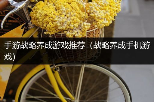 手游战略养成游戏推荐（战略养成手机游戏）