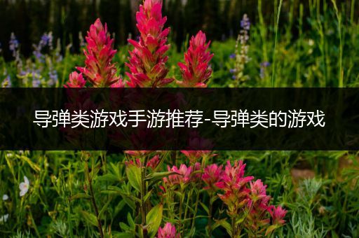 导弹类游戏手游推荐-导弹类的游戏
