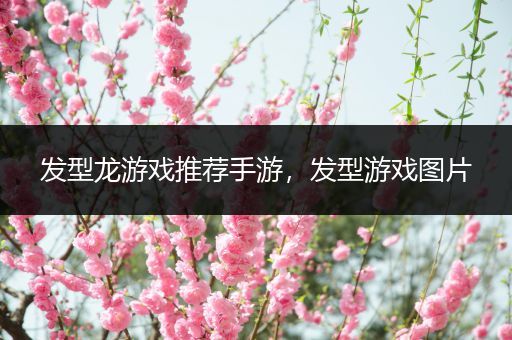 发型龙游戏推荐手游，发型游戏图片