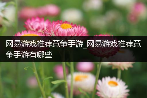 网易游戏推荐竞争手游_网易游戏推荐竞争手游有哪些