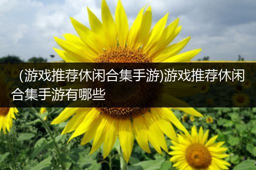 （游戏推荐休闲合集手游)游戏推荐休闲合集手游有哪些
