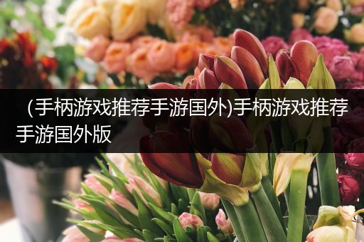 （手柄游戏推荐手游国外)手柄游戏推荐手游国外版