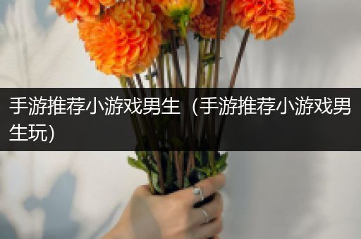 手游推荐小游戏男生（手游推荐小游戏男生玩）