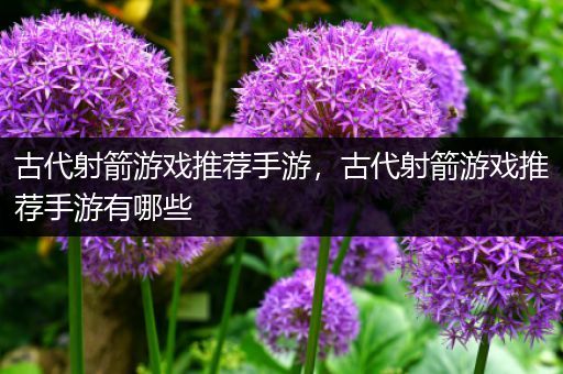 古代射箭游戏推荐手游，古代射箭游戏推荐手游有哪些