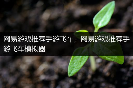 网易游戏推荐手游飞车，网易游戏推荐手游飞车模拟器
