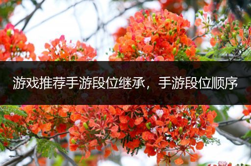 游戏推荐手游段位继承，手游段位顺序