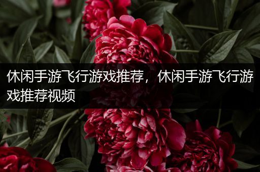 休闲手游飞行游戏推荐，休闲手游飞行游戏推荐视频