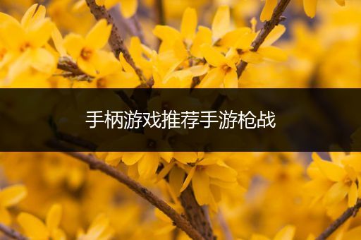 手柄游戏推荐手游枪战