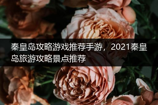 秦皇岛攻略游戏推荐手游，2021秦皇岛旅游攻略景点推荐