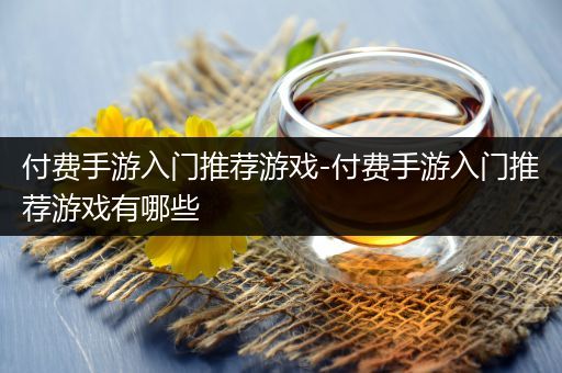 付费手游入门推荐游戏-付费手游入门推荐游戏有哪些