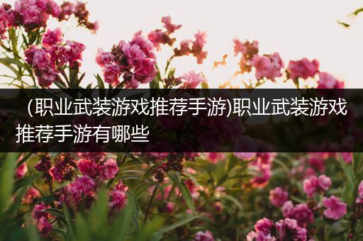 （职业武装游戏推荐手游)职业武装游戏推荐手游有哪些