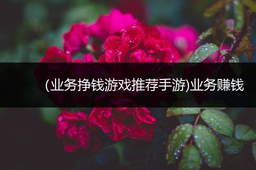 （业务挣钱游戏推荐手游)业务赚钱