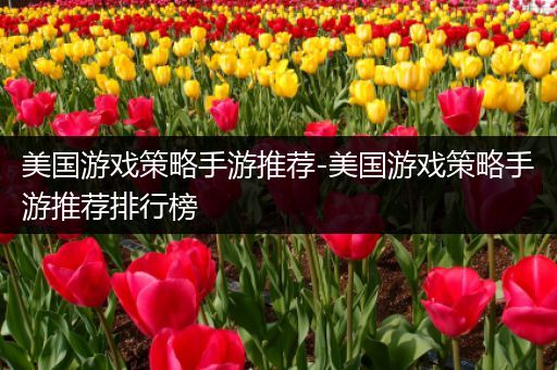 美国游戏策略手游推荐-美国游戏策略手游推荐排行榜