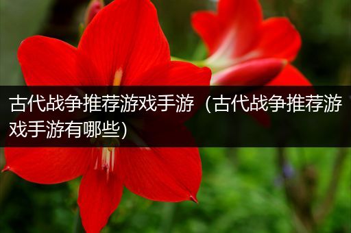 古代战争推荐游戏手游（古代战争推荐游戏手游有哪些）