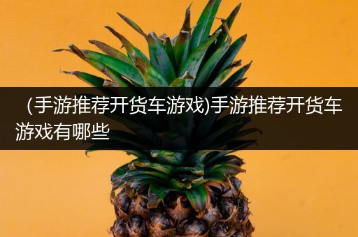 （手游推荐开货车游戏)手游推荐开货车游戏有哪些