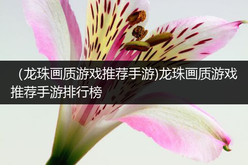 （龙珠画质游戏推荐手游)龙珠画质游戏推荐手游排行榜