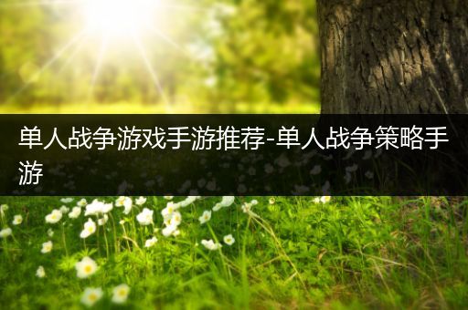 单人战争游戏手游推荐-单人战争策略手游