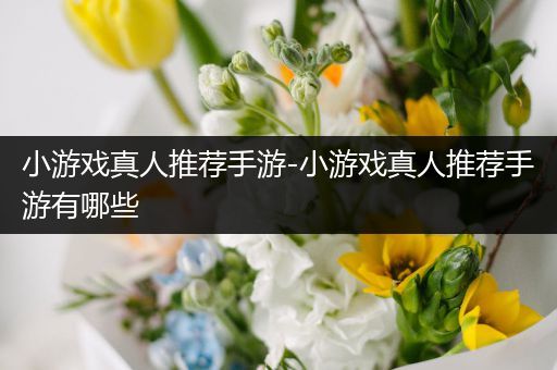 小游戏真人推荐手游-小游戏真人推荐手游有哪些
