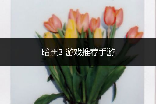 暗黑3 游戏推荐手游