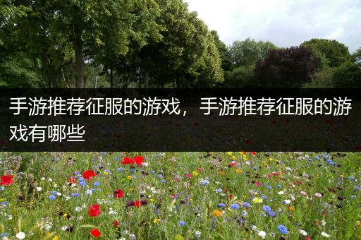 手游推荐征服的游戏，手游推荐征服的游戏有哪些